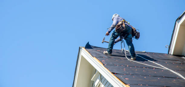 Best Roof Gutter Cleaning  in Crowley Lake, CA